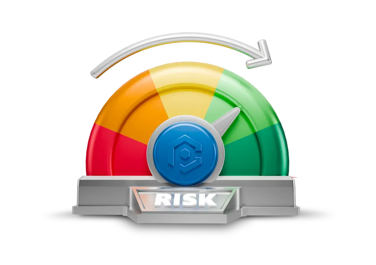 One-off vulnerability assessment at a fixed fee